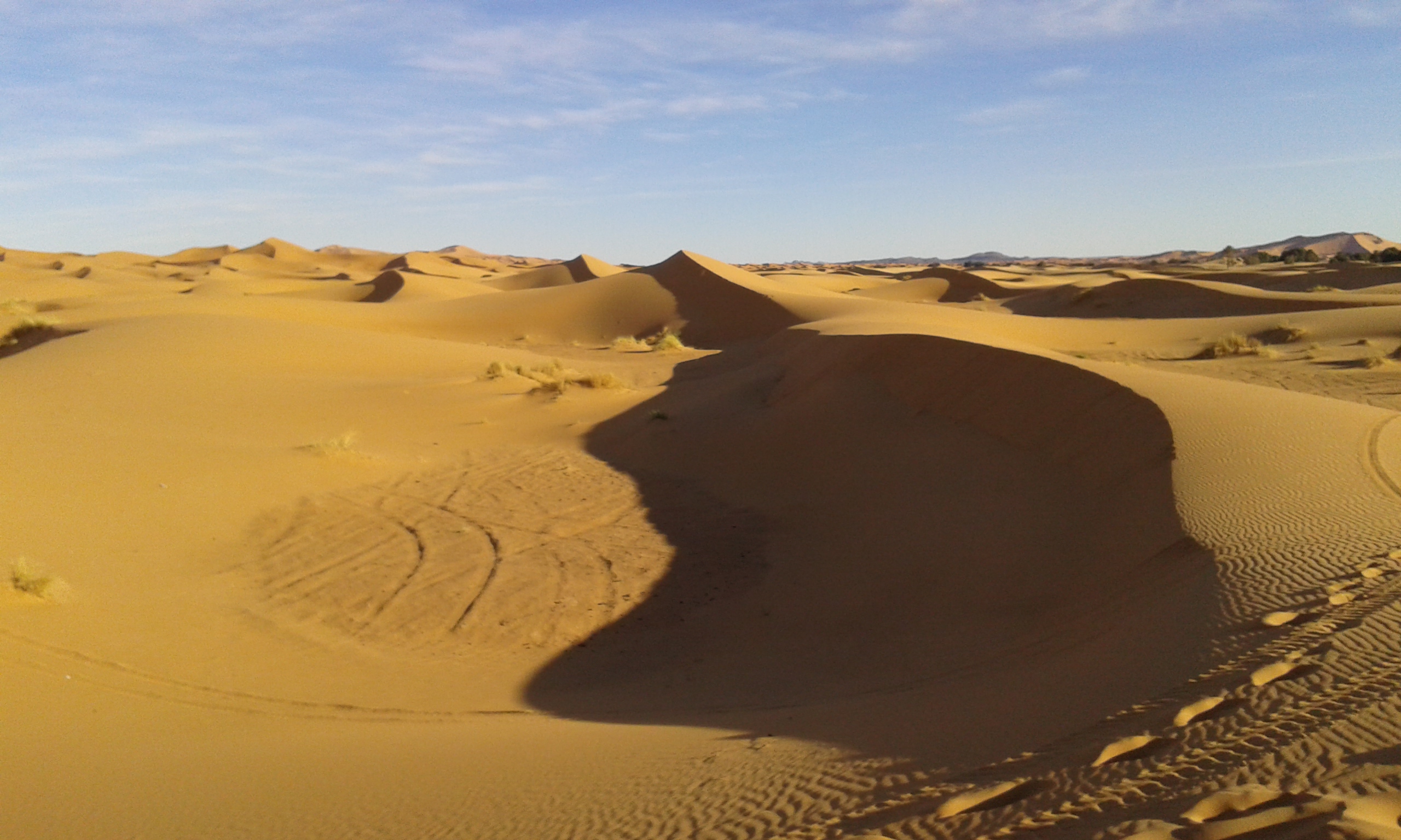 africa