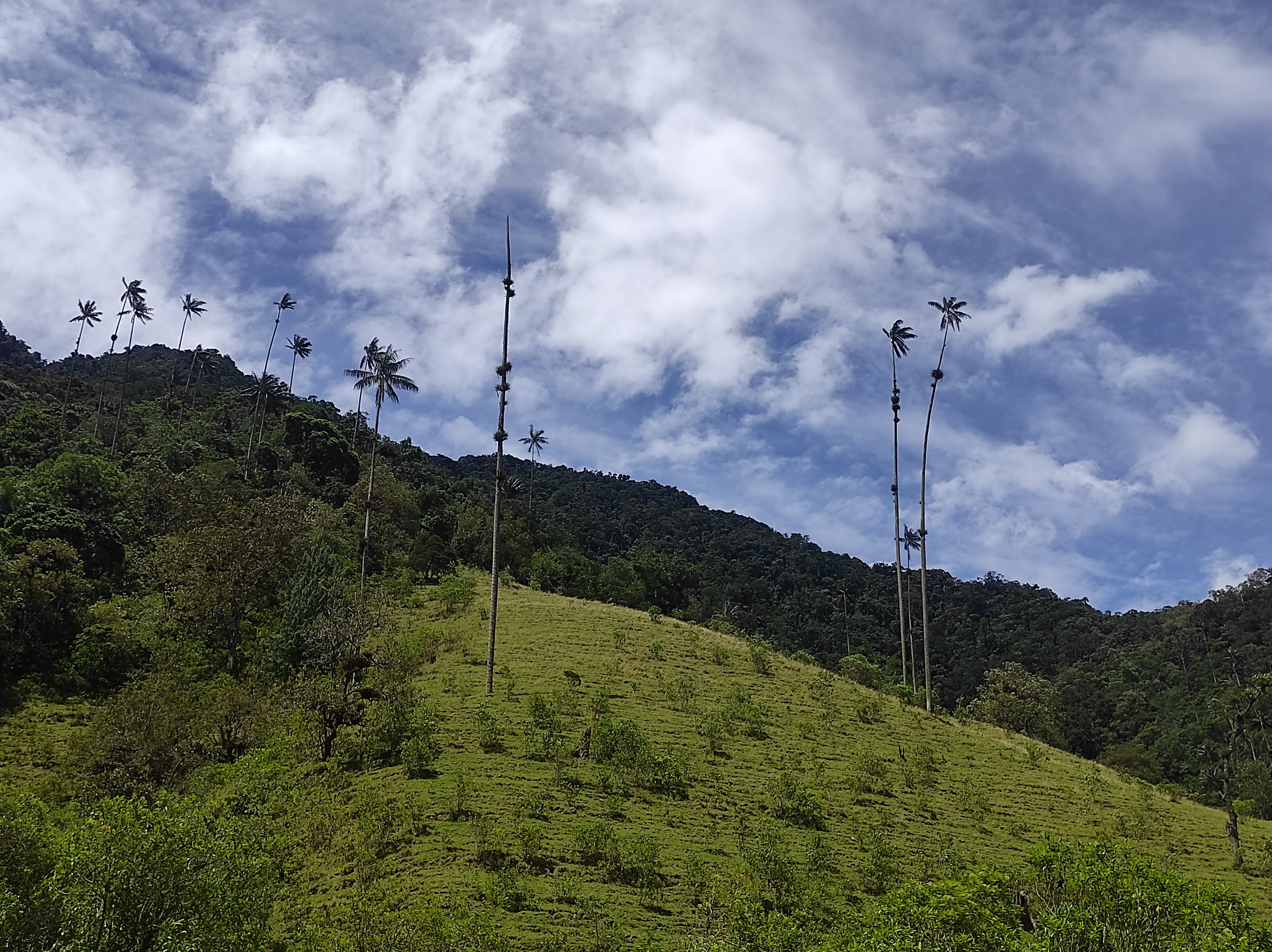 southamerica